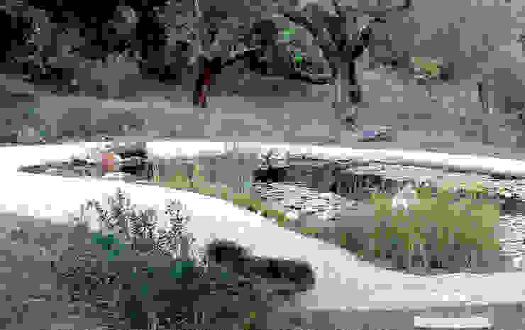 Garden with natural swimming pool Atelier Jardins do Sul Eclectic style garden