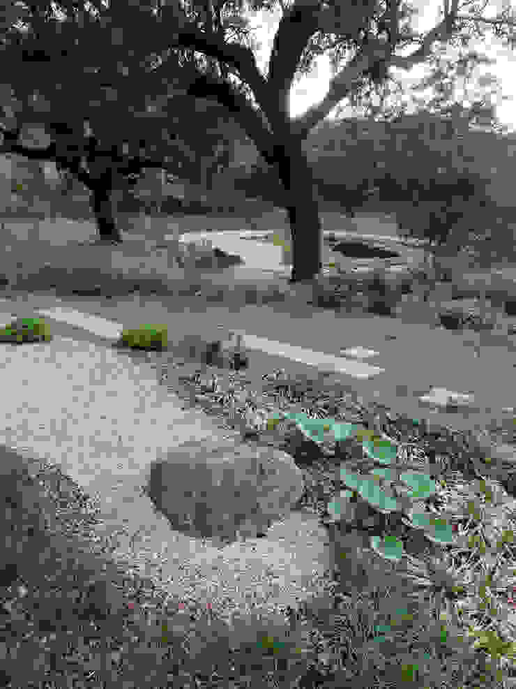 Garden with natural swimming pool Atelier Jardins do Sul Eclectic style garden