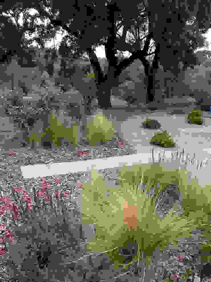 Garden with natural swimming pool Atelier Jardins do Sul Eclectic style garden