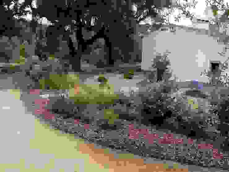 Garden with natural swimming pool Atelier Jardins do Sul Eclectic style garden