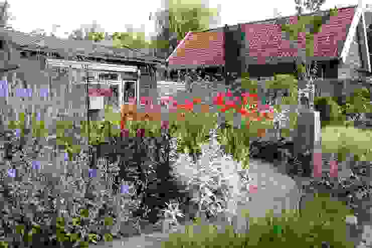 Kleurrijke achtertuin, Carla Wilhelm Carla Wilhelm Garten im Landhausstil
