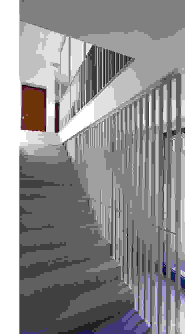 STUDIO DI ARCHITETTURA RAFFIN Modern Corridor, Hallway and Staircase