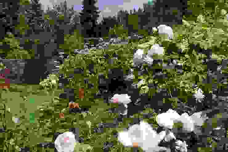 Rosen im Sommer dirlenbach - garten mit stil Garten im Landhausstil Blume,Pflanze,Botanik,Blütenblatt,Baum,Himmel,Vegetation,Gras,Strauch,Rose