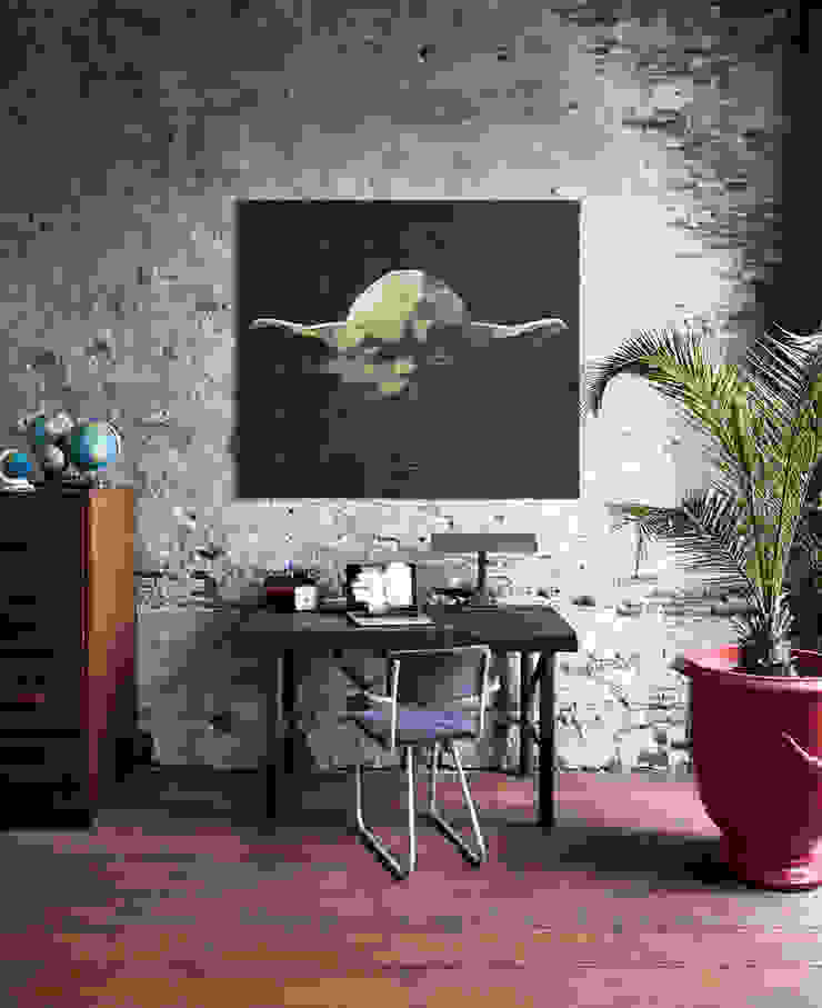 Star Wars IXXI Walls & flooringPaint & finishes