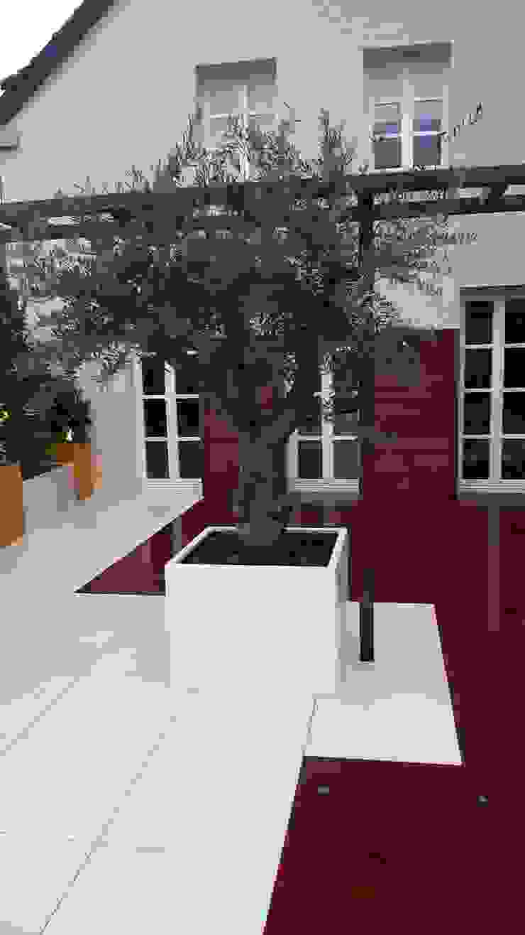 Scènes d'extérieur Balcone, Veranda & Terrazza in stile moderno
