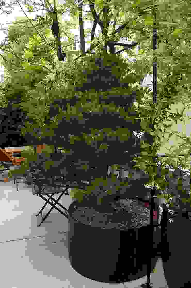 Scènes d'extérieur Balcone, Veranda & Terrazza in stile moderno