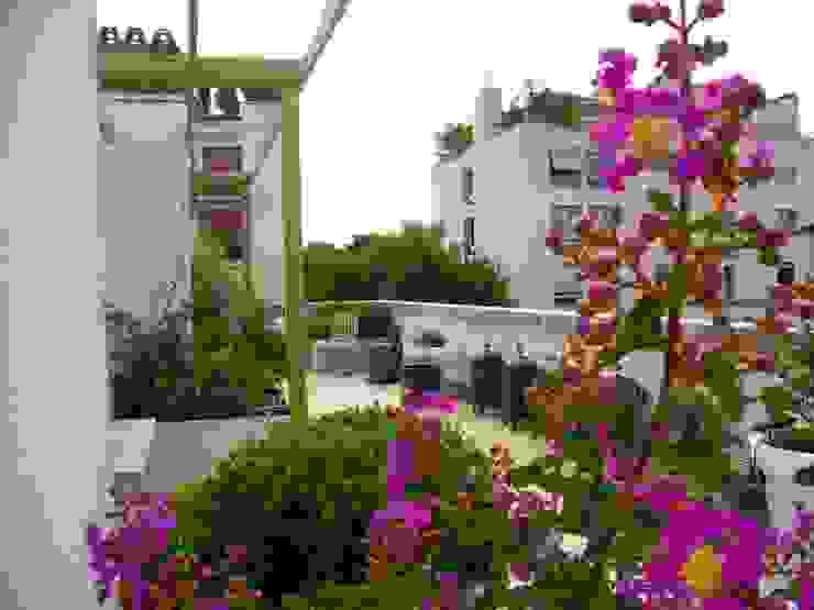Scènes d'extérieur Balcone, Veranda & Terrazza in stile moderno