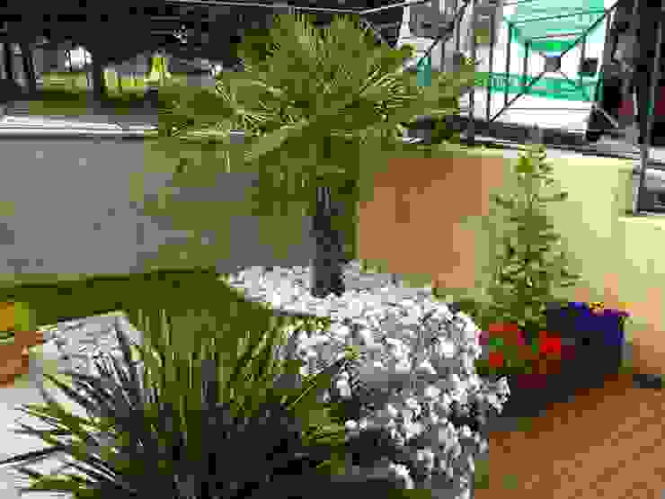 homify Moderner Garten