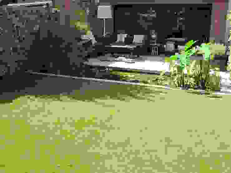 Cómo lograr un hermoso jardín y no frustrarte en el intento | homify