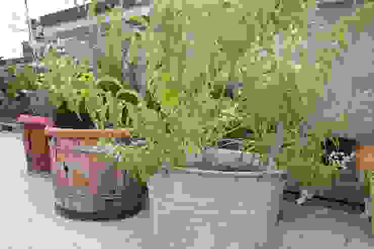 Citronella Atelier delle Verdure Balcone, Veranda & Terrazza in stile eclettico Legno citronella,vaso in metallo