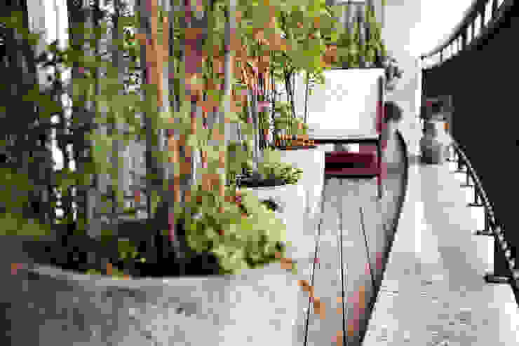 Vanderlei Camila Vicari Arquitetura da Paisagem Modern Terrace