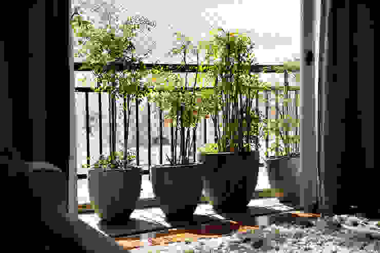 Vanderlei Camila Vicari Arquitetura da Paisagem Modern Terrace