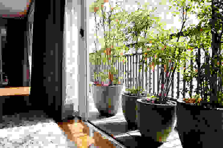 Vanderlei Camila Vicari Arquitetura da Paisagem Modern Terrace