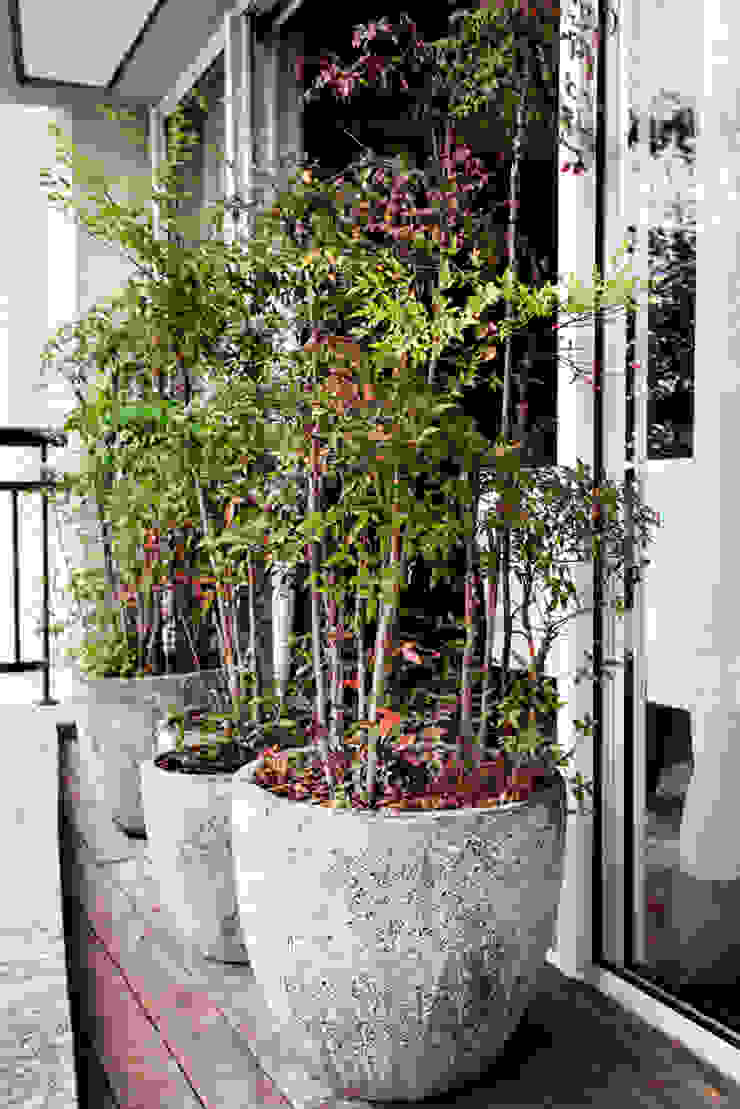 Vanderlei Camila Vicari Arquitetura da Paisagem Modern Terrace