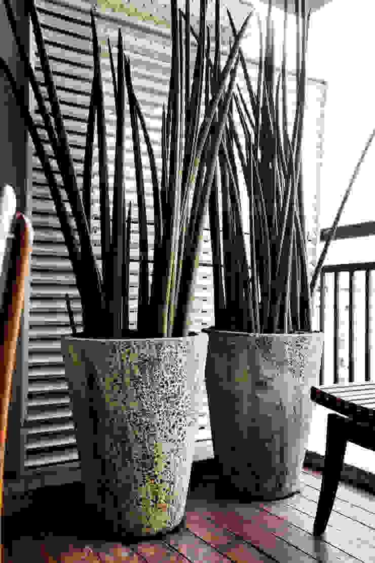 Vanderlei Camila Vicari Arquitetura da Paisagem Modern Terrace