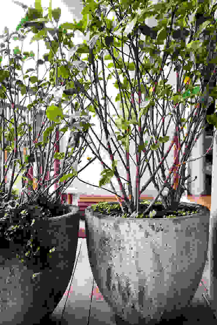 Vanderlei Camila Vicari Arquitetura da Paisagem Modern Terrace