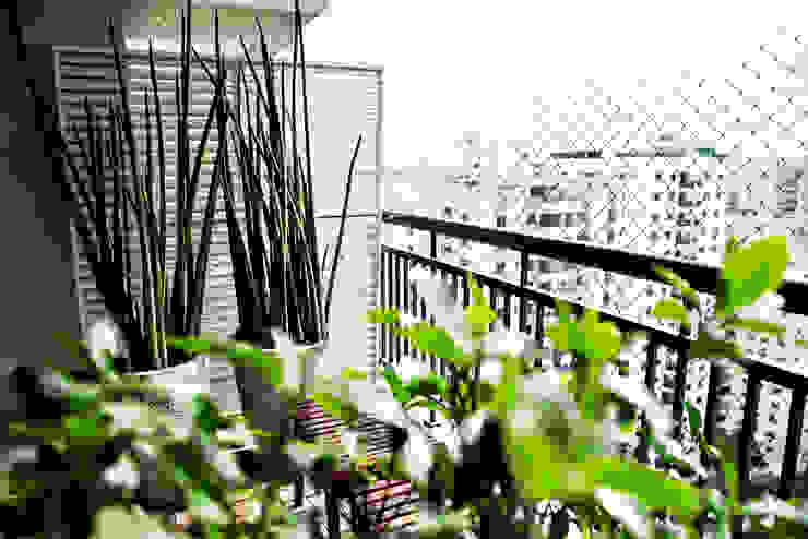 Vanderlei Camila Vicari Arquitetura da Paisagem Modern Terrace