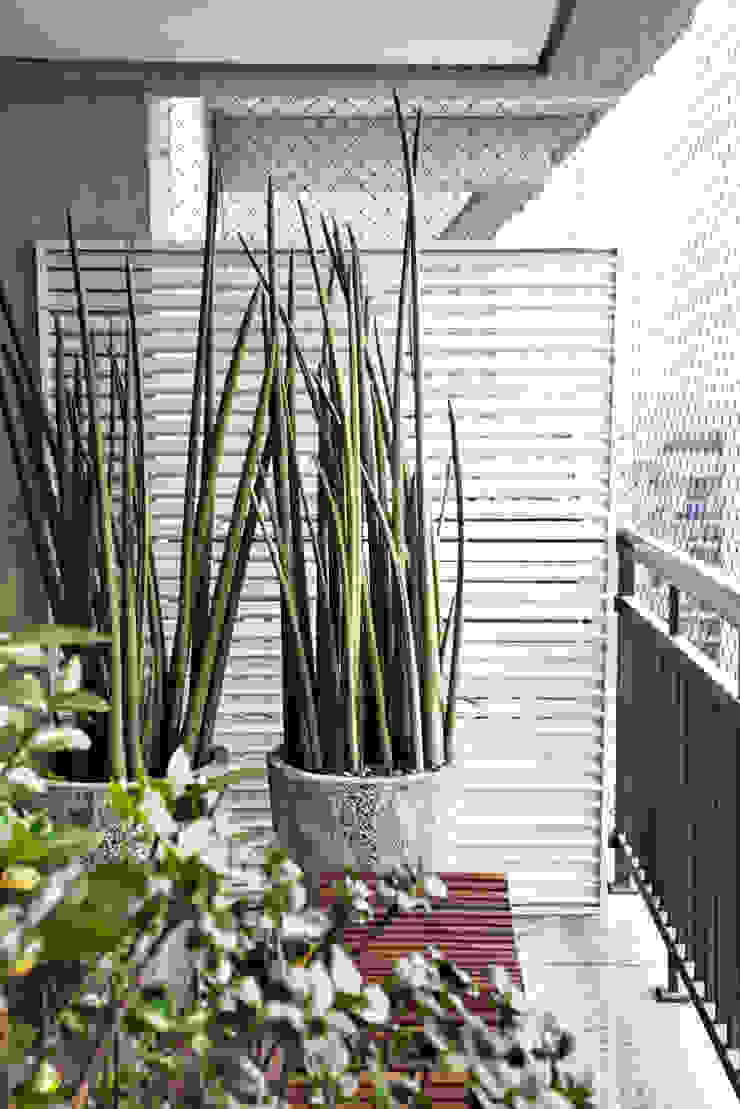 Vanderlei Camila Vicari Arquitetura da Paisagem Modern Terrace