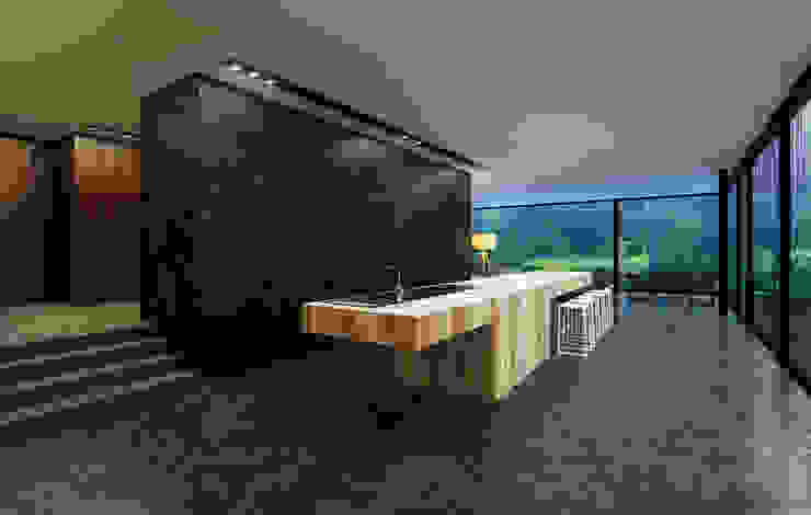ALEXANDER ZHIDKOV ARCHITECT Minimalist kitchen