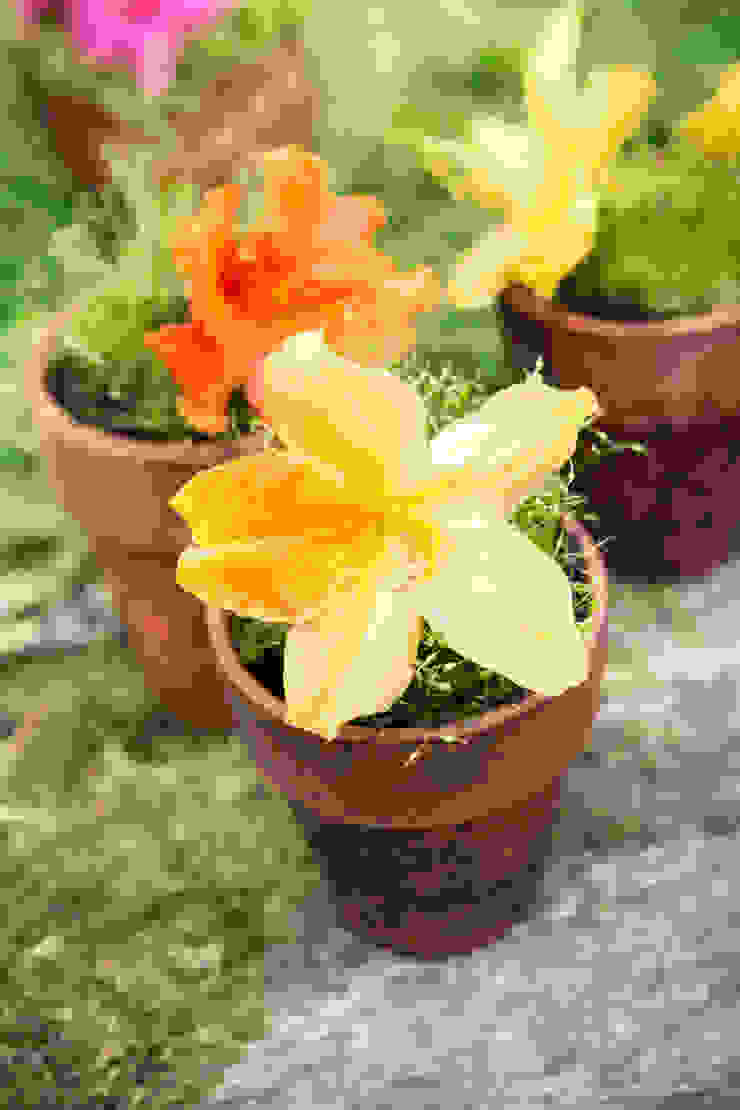 Pflanzenfreude.de Classic style garden