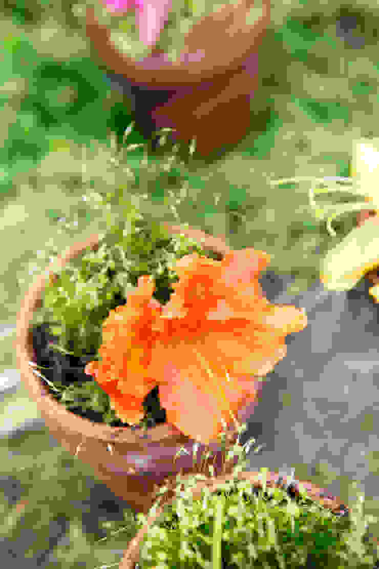 Pflanzenfreude.de Classic style garden