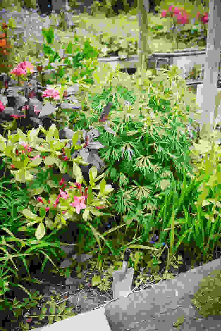 Pflanzenfreude.de Classic style garden