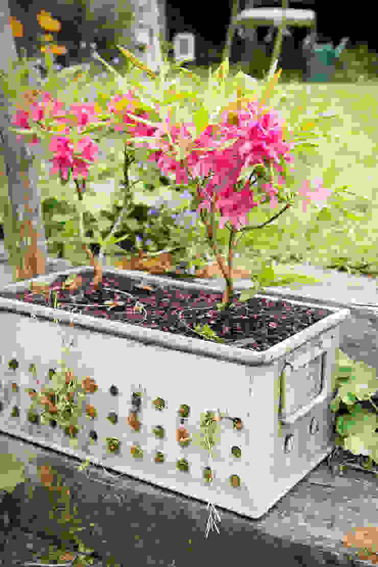 Pflanzenfreude.de Rustic style garden