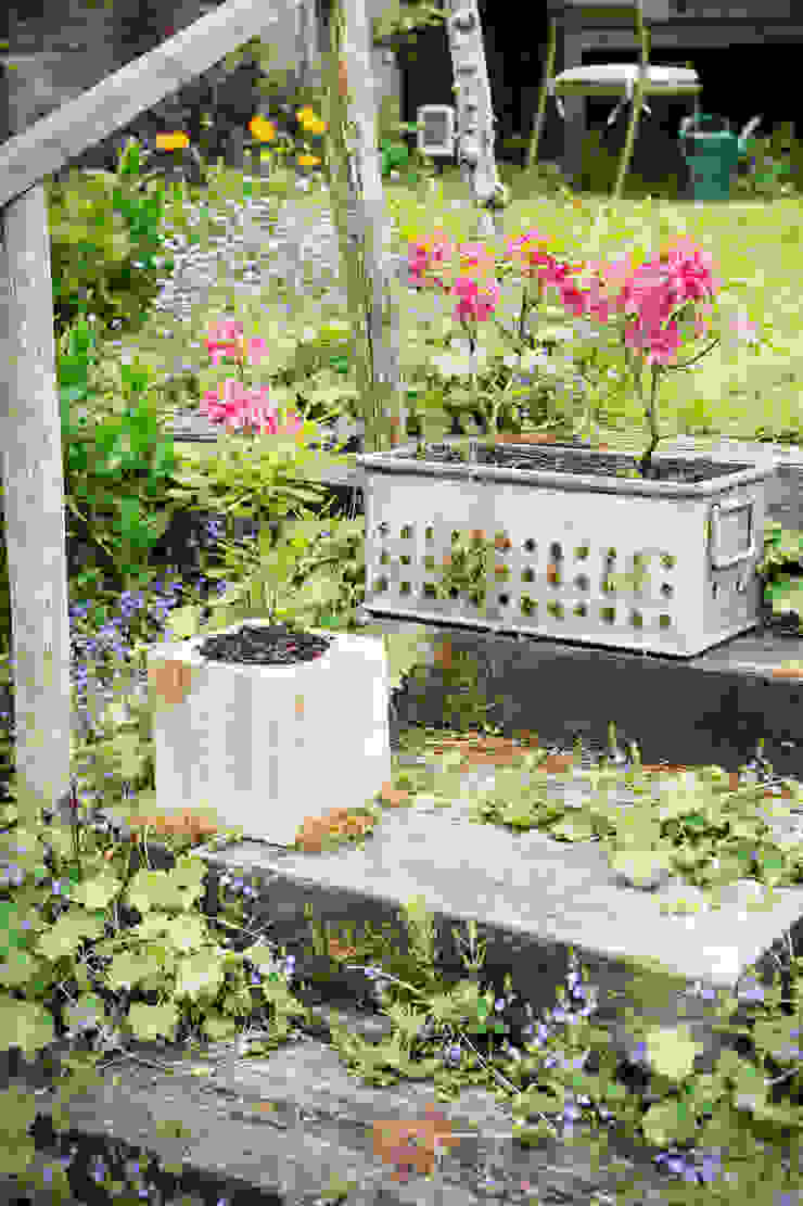 Pflanzenfreude.de Rustic style garden