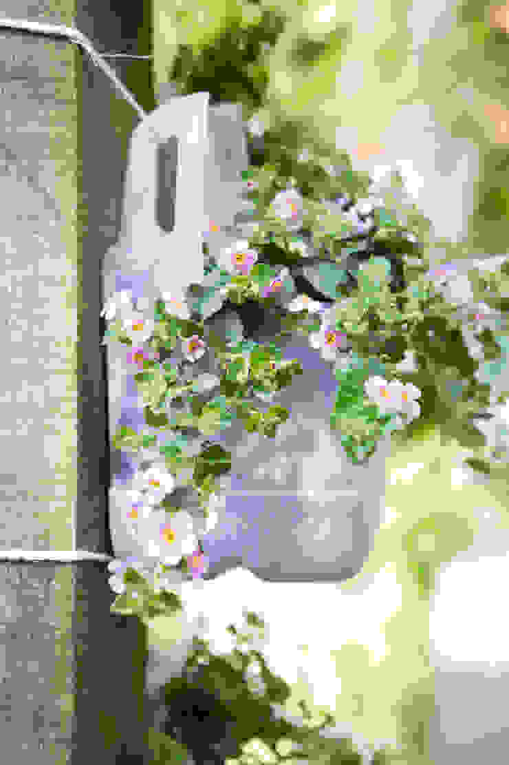 Pflanzenfreude.de Minimalist style garden