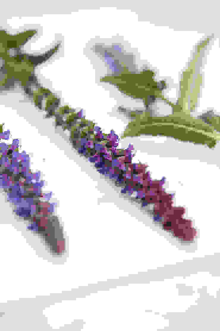 Pflanzenfreude.de Modern Garden