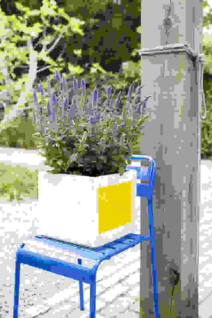 Pflanzenfreude.de Modern Garden