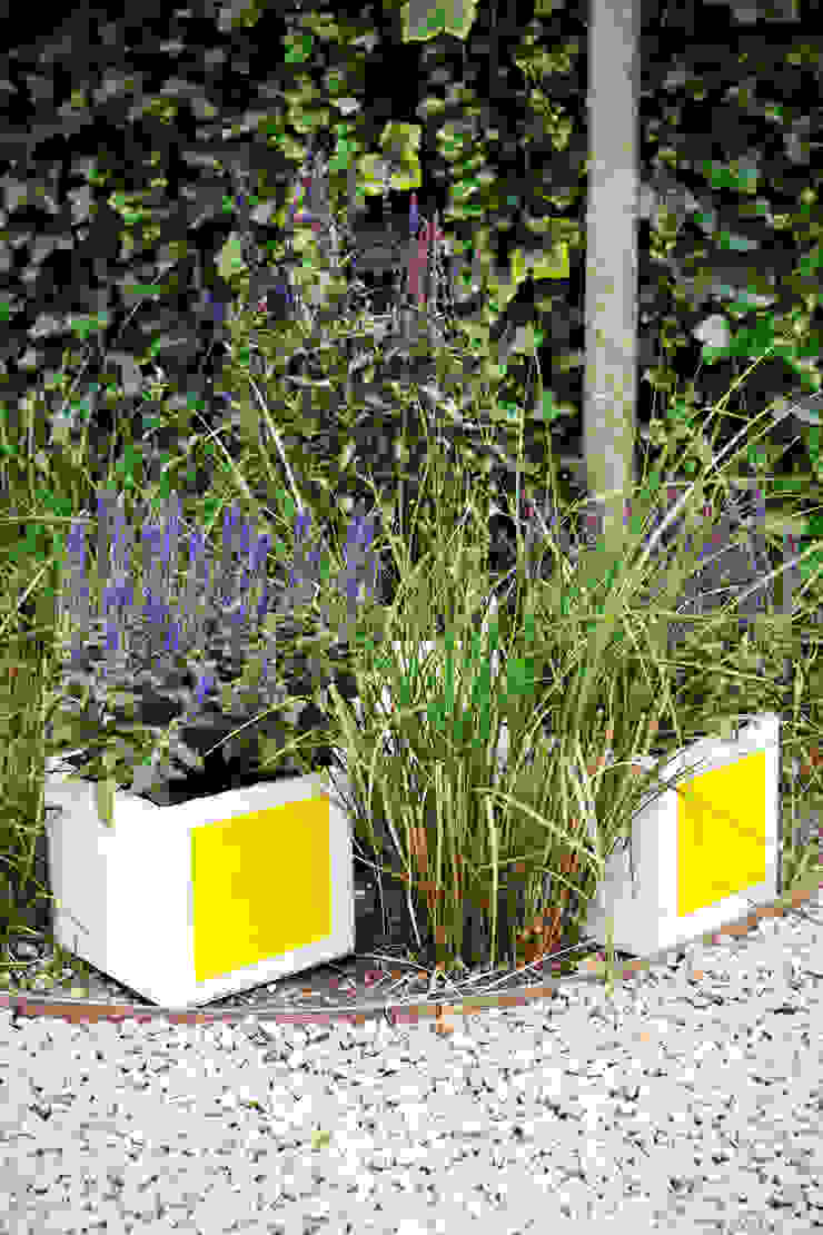 Pflanzenfreude.de Modern Garden