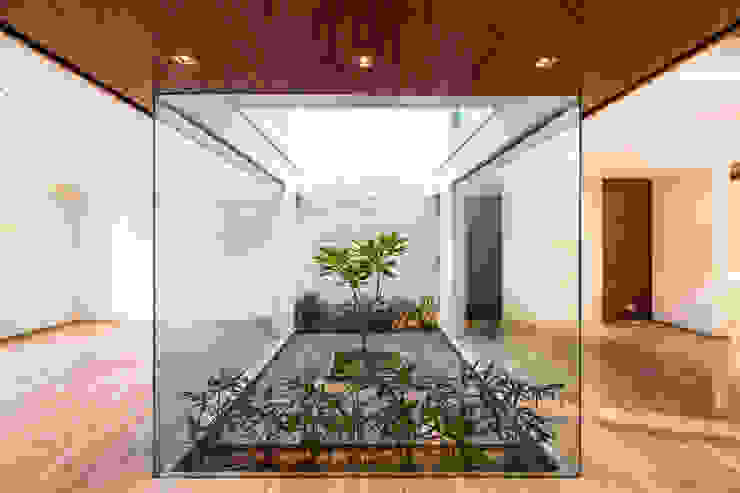 10 Pictures Of Homes With Indoor Gardens Homify
