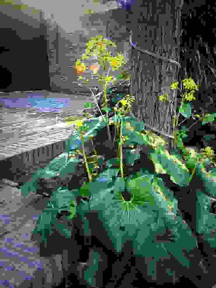 Quercus Jardiners Balcones y terrazas de estilo moderno