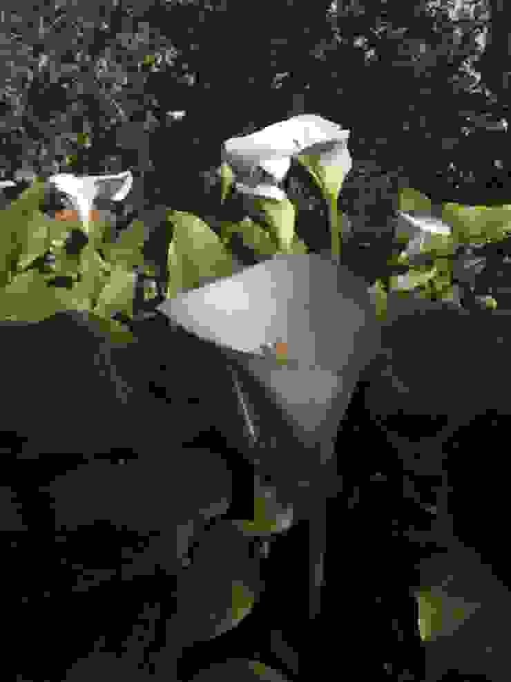 Quercus Jardiners Jardines de estilo moderno