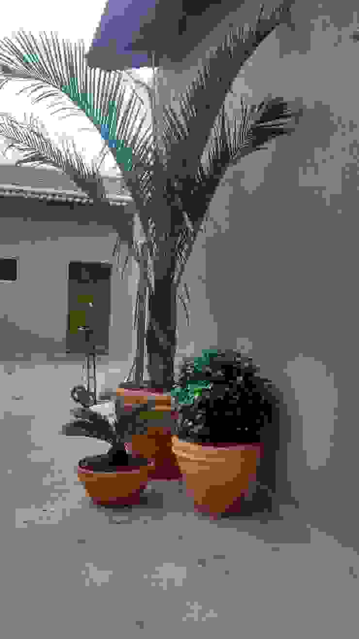 Projeto Paisagismo Borges Arquitetura & Paisagismo Jardins modernos