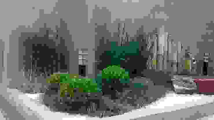 Projeto Paisagismo Borges Arquitetura & Paisagismo Jardins modernos