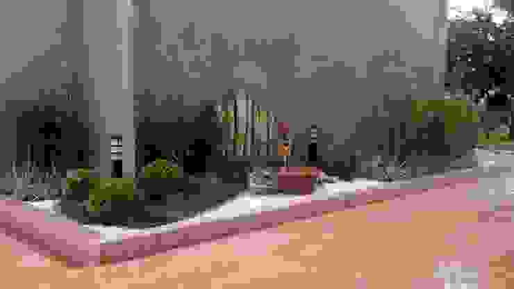 Projeto Paisagismo Borges Arquitetura & Paisagismo Jardins modernos