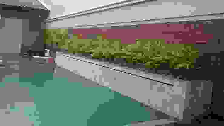 Projeto Paisagismo Borges Arquitetura & Paisagismo Piscinas modernas