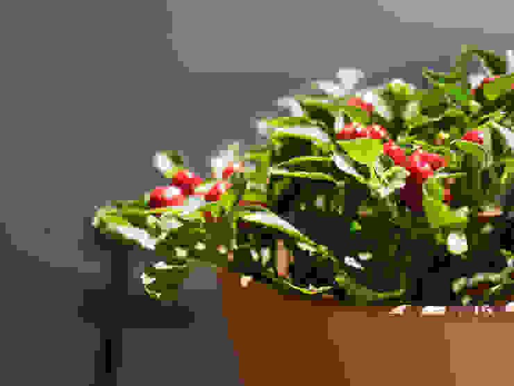 by MUDA Home Design Eclectic