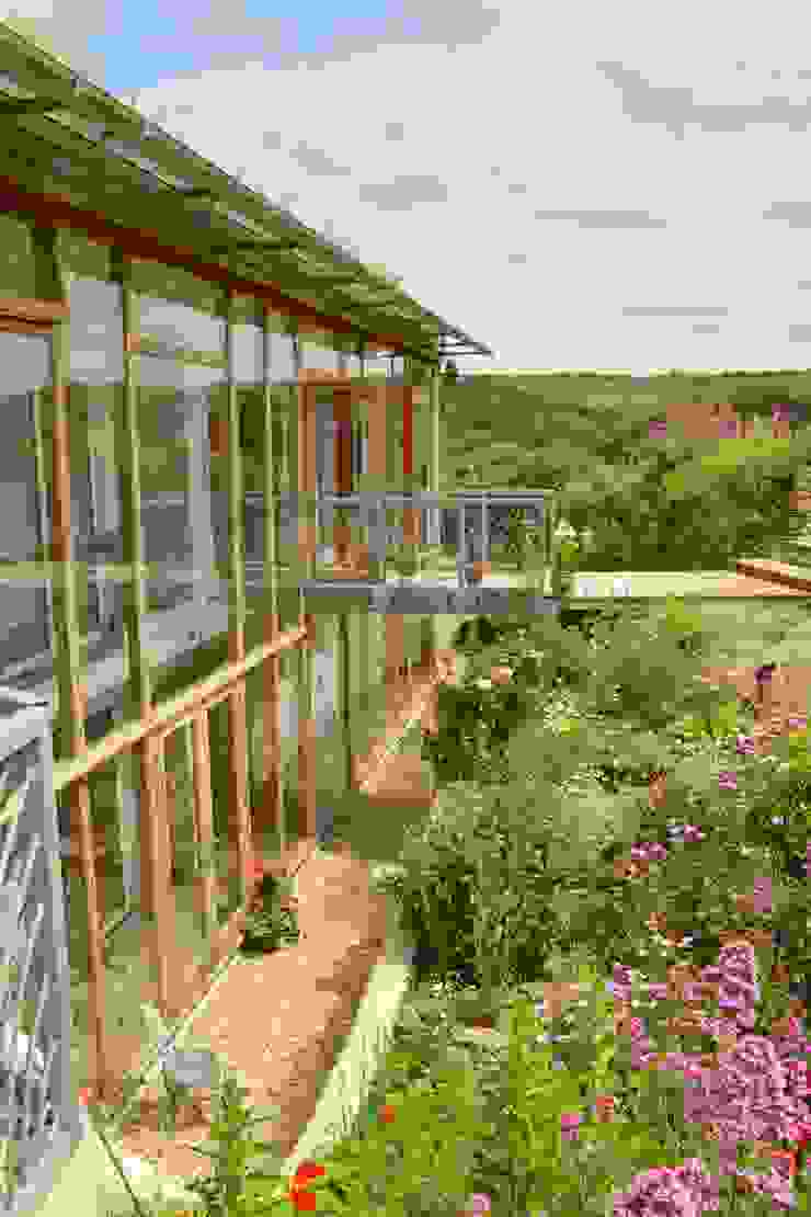 Porthcothan Responsive Home, Innes Architects Innes Architects Moderner Garten