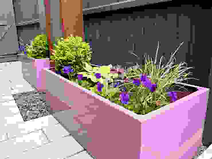 Small Contemporary Courtyard, Gardenplan Design Gardenplan Design Modern garden