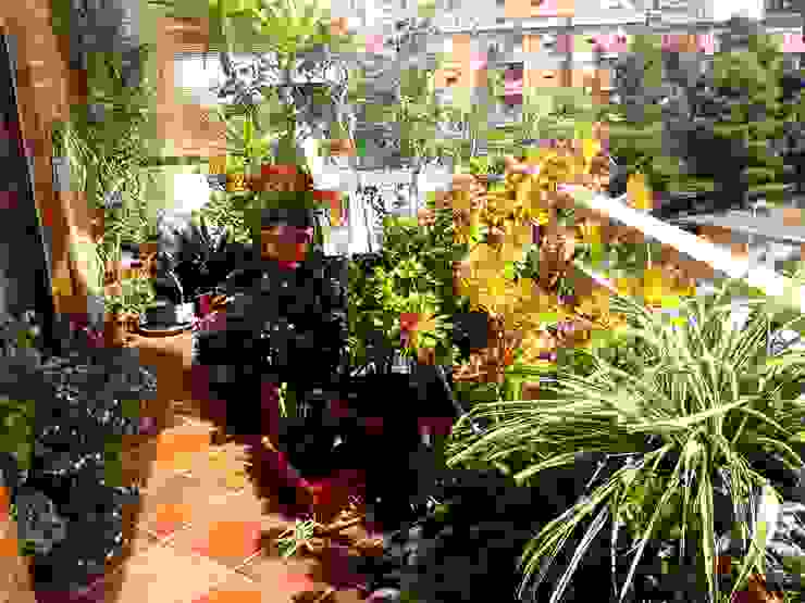 Arredo Verde _Terrazzo Urbano , Filippo Fiori Architetto Filippo Fiori Architetto Moderner Balkon, Veranda & Terrasse