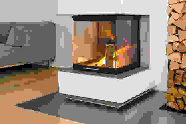Helwig Haus und Raum Planungs GmbH Living roomFireplaces & accessories