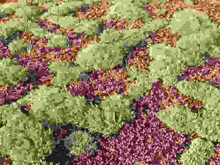 Ten el mejor jardín con huertos sensacionales | homify