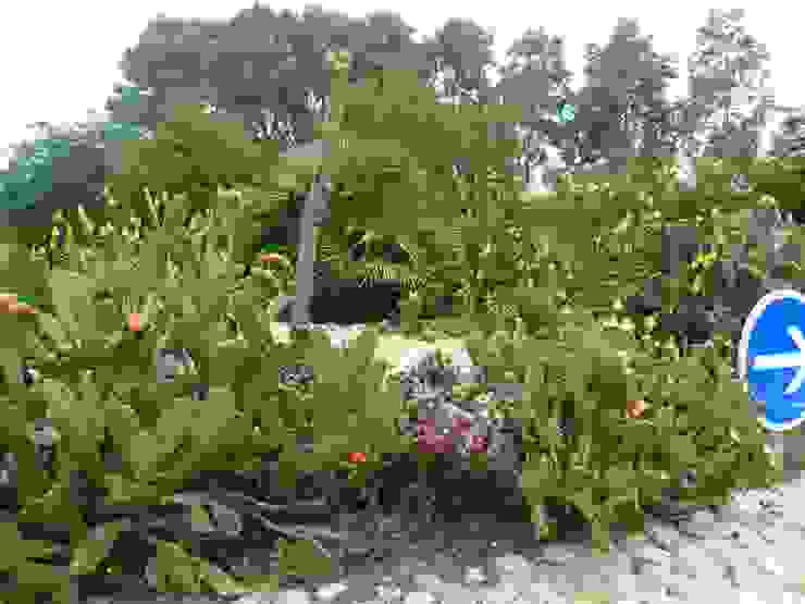 Bompas, Wiricactus Wiricactus Ausgefallener Garten