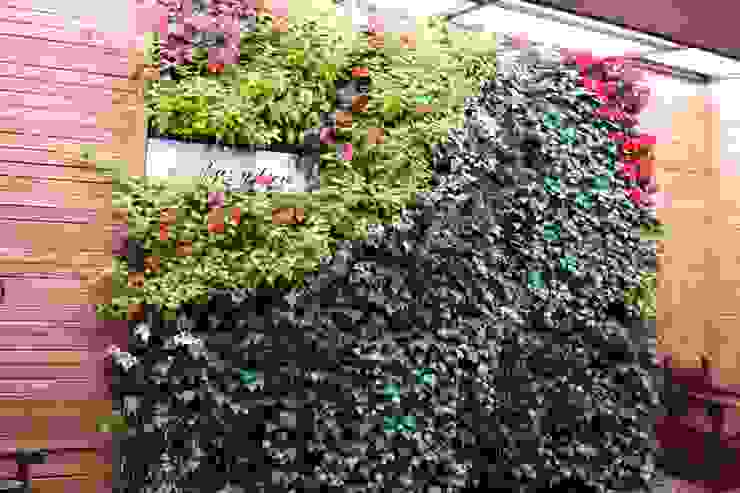 jardin vertical hermanos capuchinos