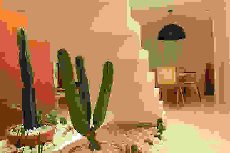 Julia Queima Arquitetura 모던스타일 복도, 현관 & 계단