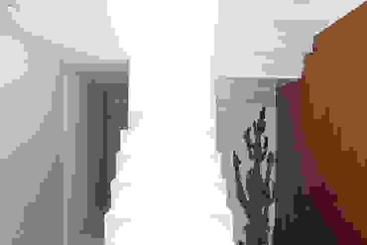 Julia Queima Arquitetura 모던스타일 복도, 현관 & 계단