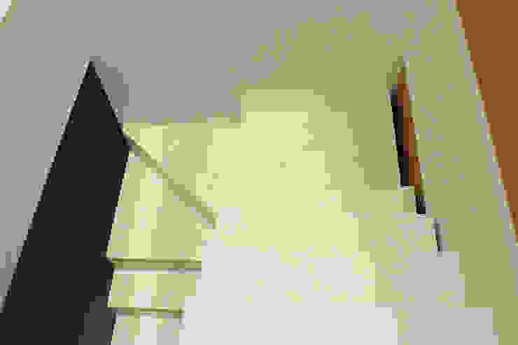 Julia Queima Arquitetura 모던스타일 복도, 현관 & 계단